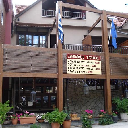 Hotel Koziakas Elati  Luaran gambar